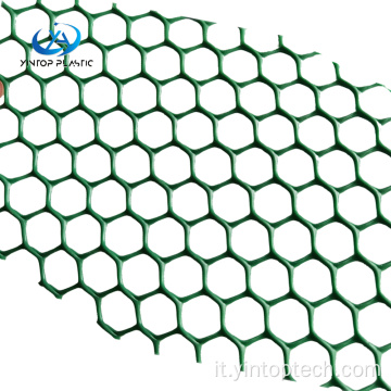 Mesh di plastica per la protezione dell&#39;erba